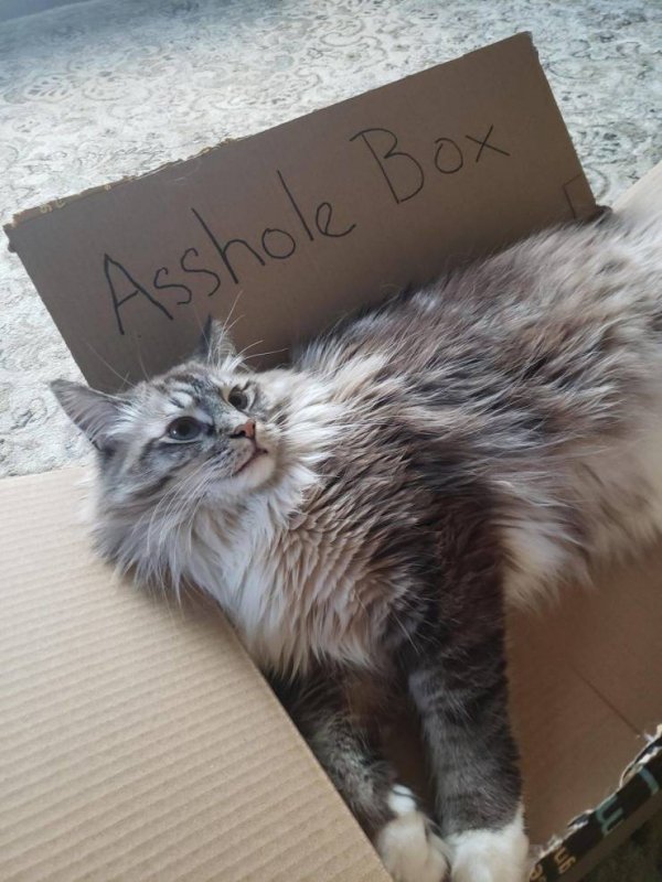 Acid Picdump. Part 1 (95 pics)