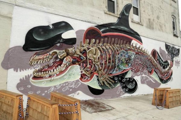 Acid Picdump. Part 1 (95 pics)
