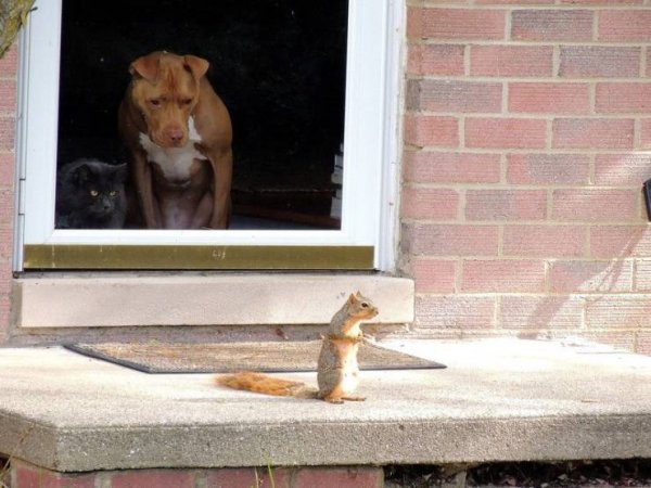 Acid Picdump. Part 1 (95 pics)