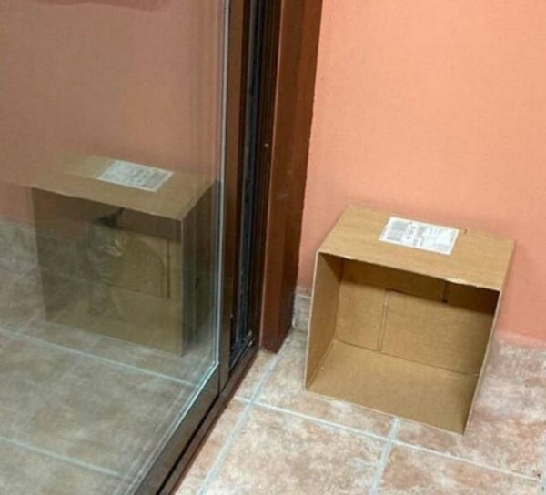 Acid Picdump. Part 1 (95 pics)