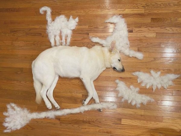 Acid Picdump. Part 1 (95 pics)
