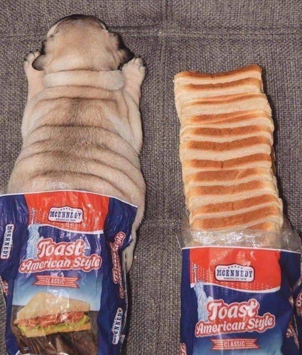 Acid Picdump. Part 1 (95 pics)