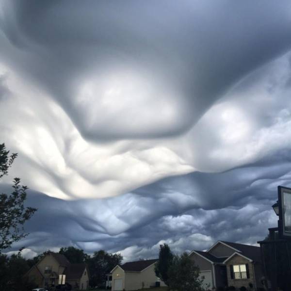 Acid Picdump. Part 1 (95 pics)