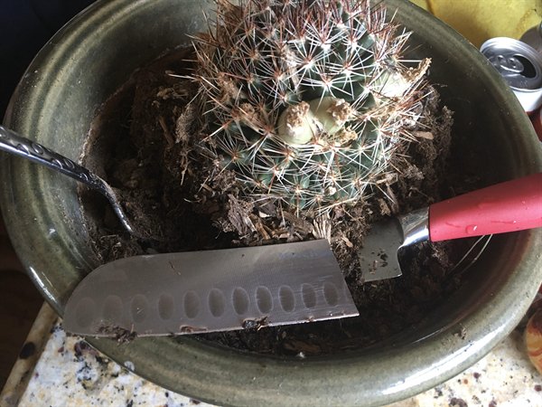 Bad Days Happen (24 pics)