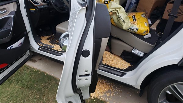 Bad Days Happen (24 pics)
