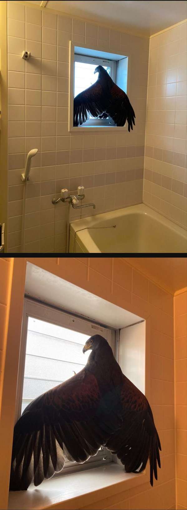 Bad Days Happen (24 pics)