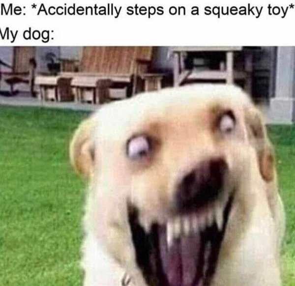 Random Funny Memes (24 pics)