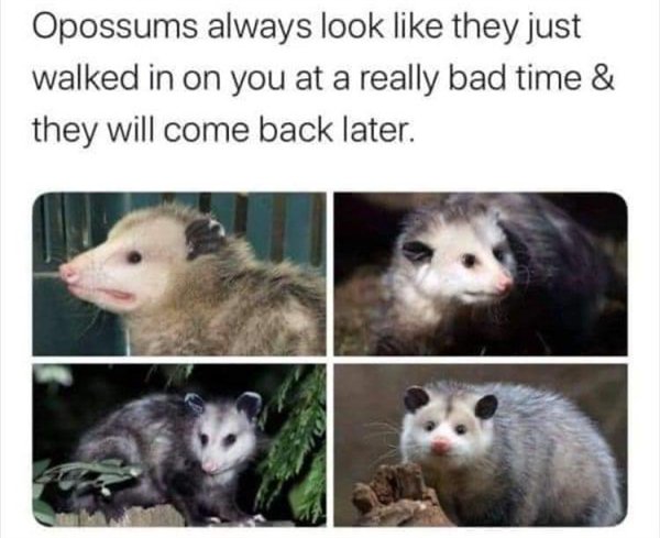 Random Funny Memes (24 pics)