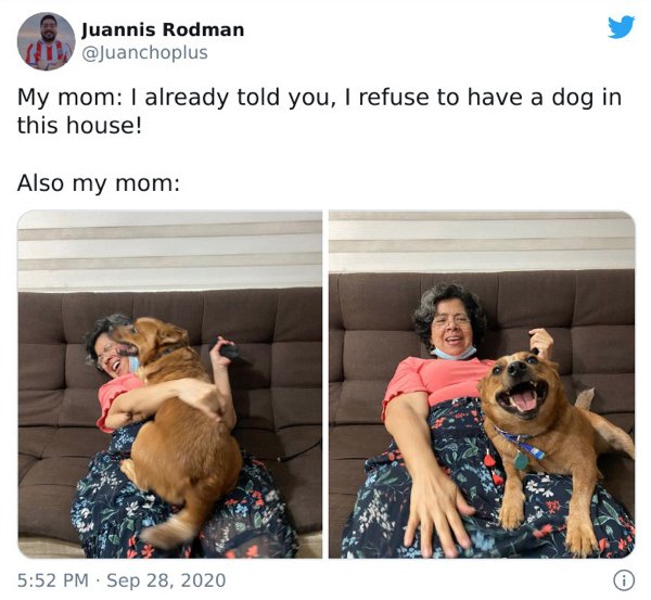 These Moms Refused To Have Dogs (21 pics)