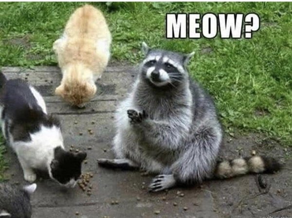 Random Funny Memes (24 pics)