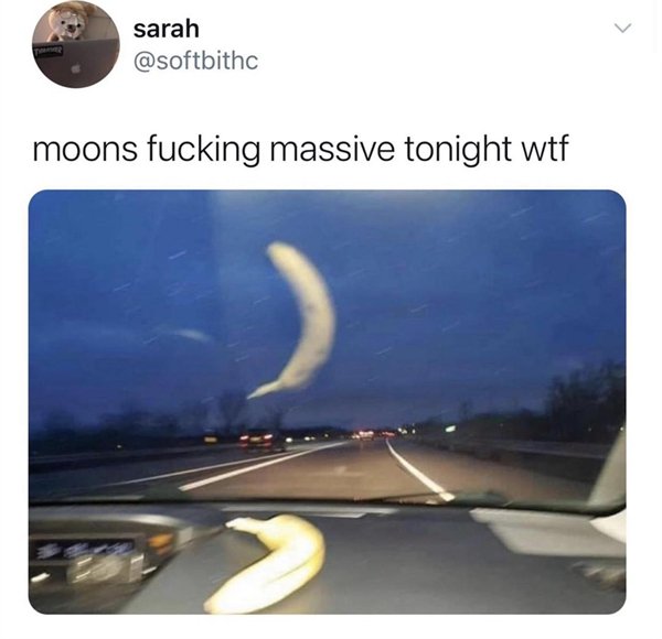 Random Funny Memes (24 pics)