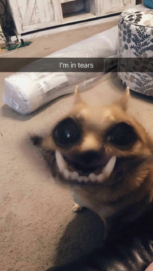 Random Funny Memes (24 pics)