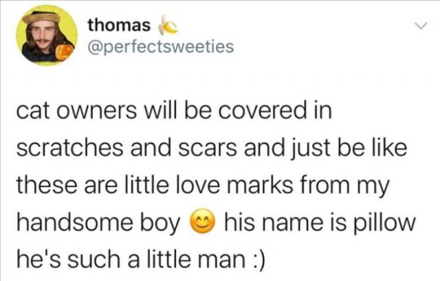 Funny Tweets (49 pics)