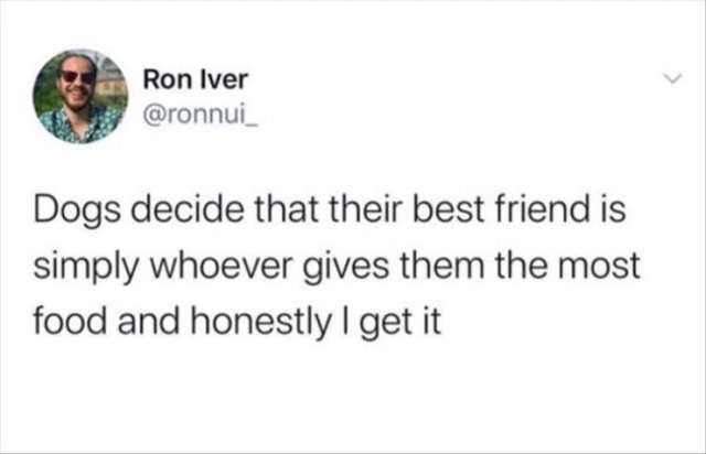 Funny Tweets (49 pics)