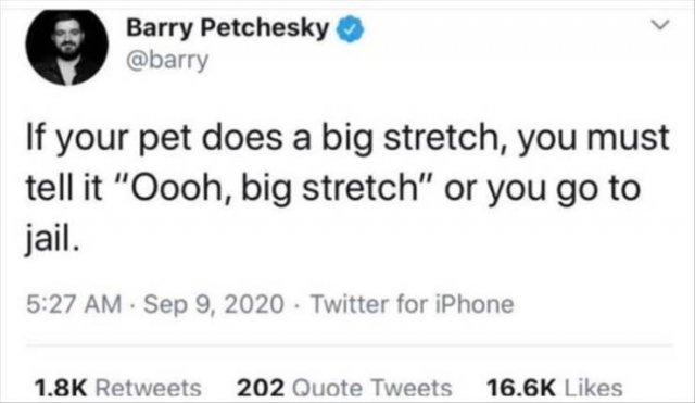 Funny Tweets (49 pics)