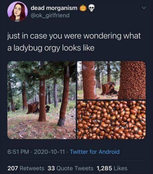 Funny Tweets (49 pics)