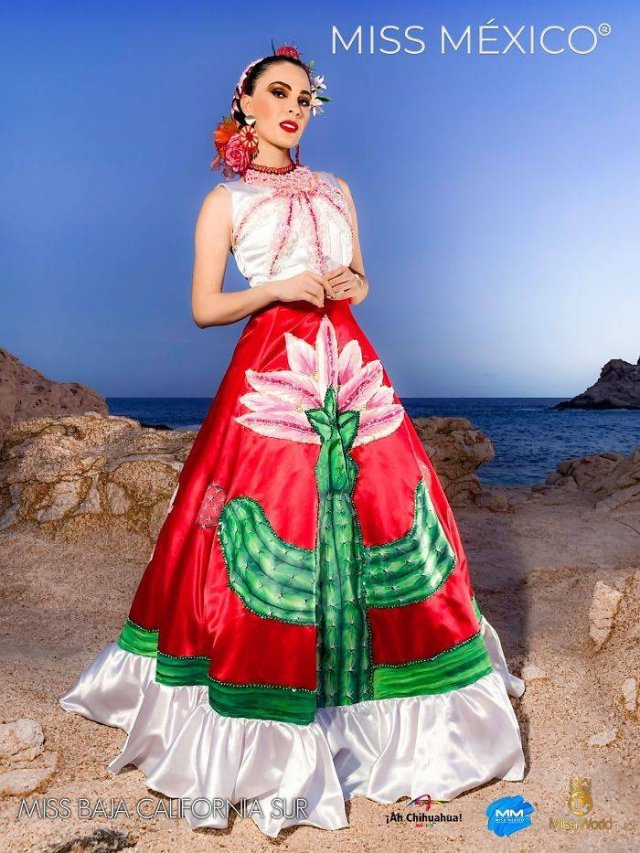 'Miss Mexico 2020' Contestants In National Dresses (32 pics) 'Miss Mexico 2020' Contestants In National Dresses (32 pics)