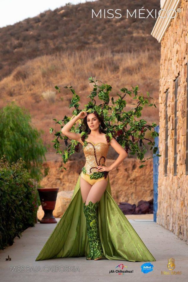 'Miss Mexico 2020' Contestants In National Dresses (32 pics) 'Miss Mexico 2020' Contestants In National Dresses (32 pics)