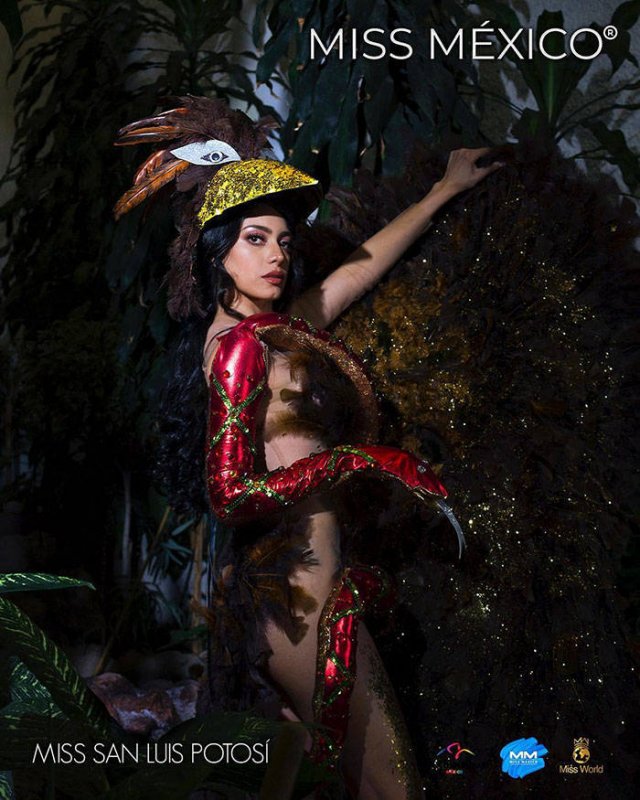 'Miss Mexico 2020' Contestants In National Dresses (32 pics)