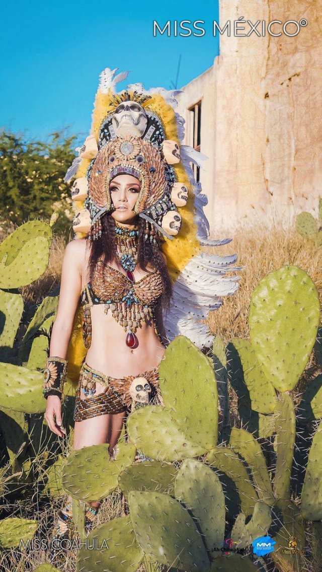 'Miss Mexico 2020' Contestants In National Dresses (32 pics) 'Miss Mexico 2020' Contestants In National Dresses (32 pics)