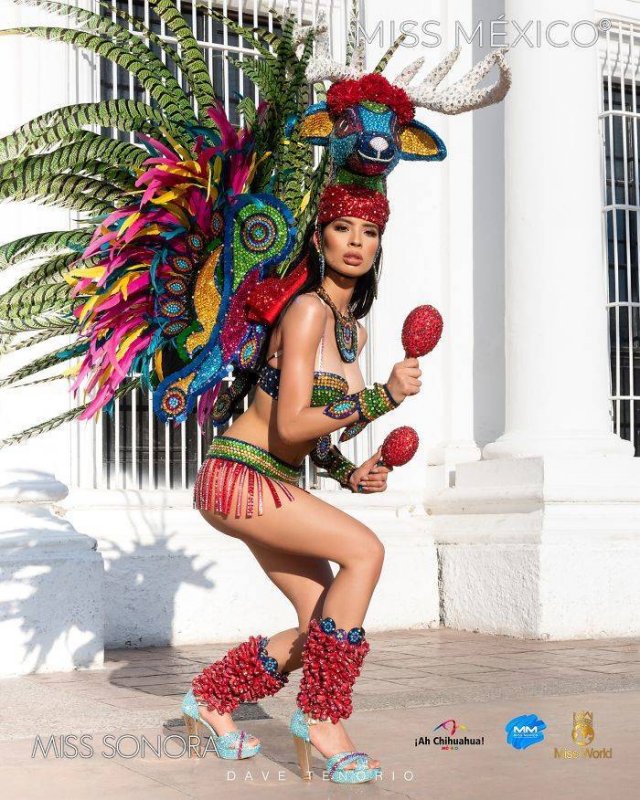 'Miss Mexico 2020' Contestants In National Dresses (32 pics) 'Miss Mexico 2020' Contestants In National Dresses (32 pics)