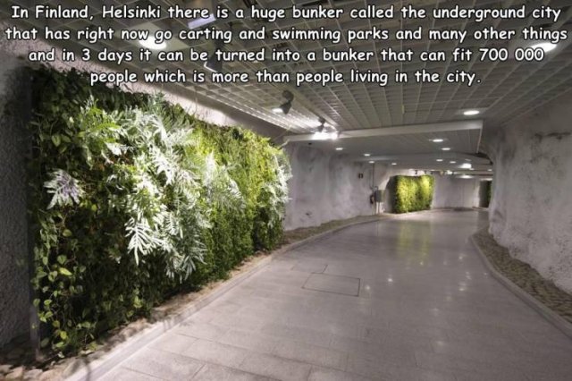 Acid Picdump. Part 1 (96 pics)
