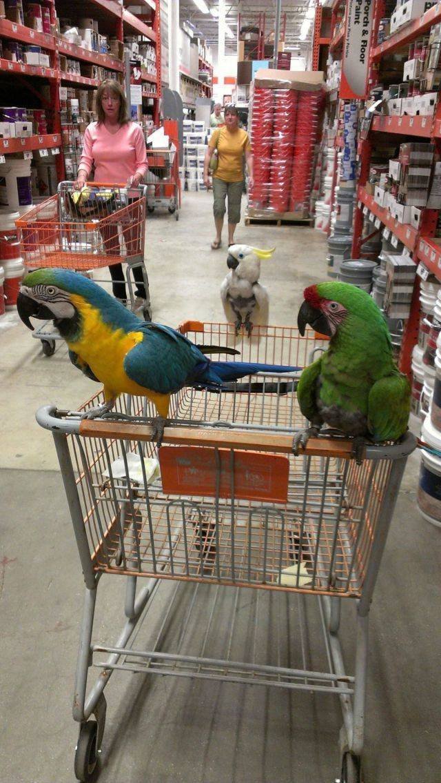 Acid Picdump. Part 2 (96 pics)