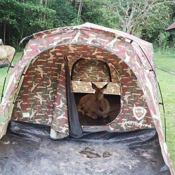 Acid Picdump. Part 1 (96 pics)