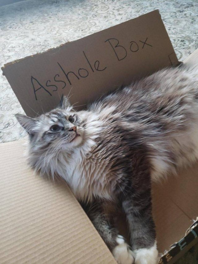 Acid Picdump. Part 1 (96 pics)