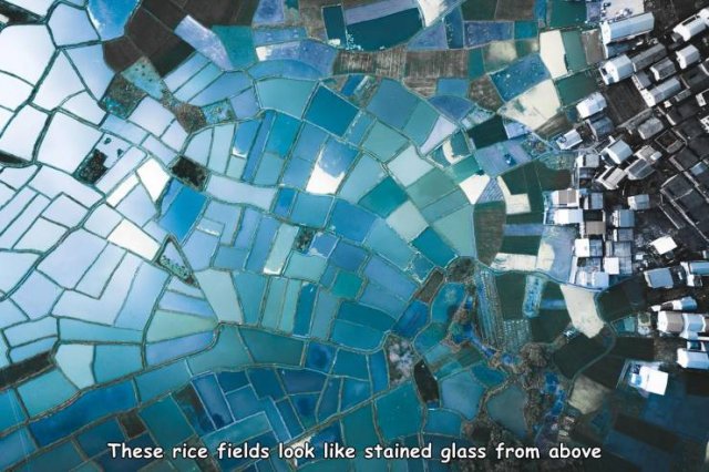 Acid Picdump. Part 1 (96 pics)