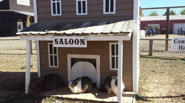 Acid Picdump. Part 1 (96 pics)