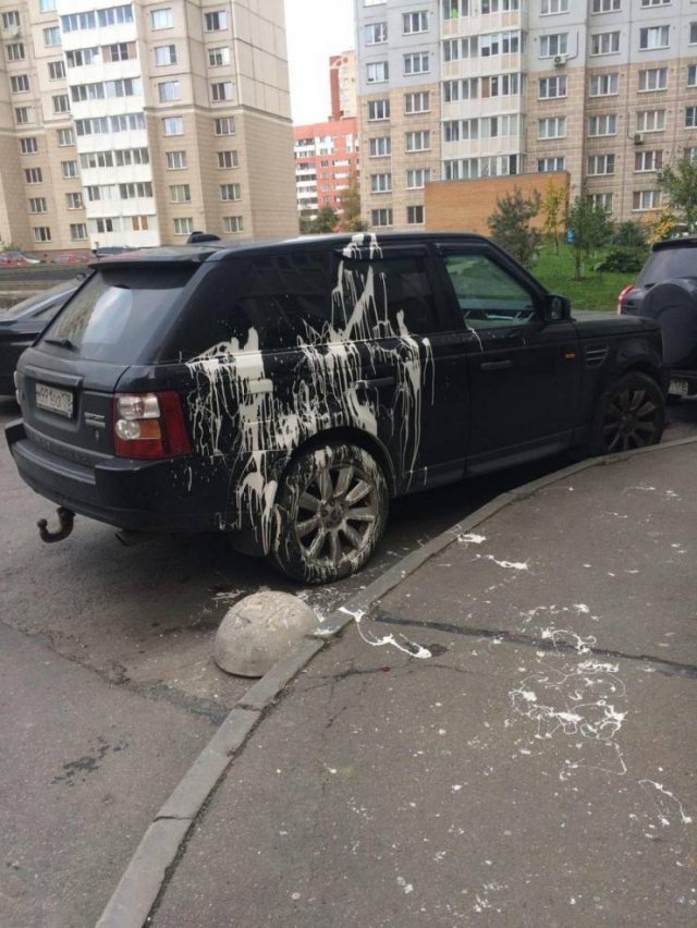 Acid Picdump. Part 1 (96 pics)