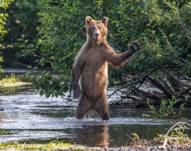 Acid Picdump. Part 1 (96 pics)