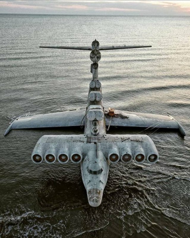 Caspian Sea Monster (19 pics)