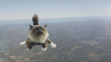 Acid Gifdump, October 20 (25 gifs)