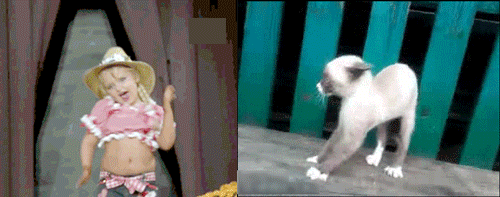 Acid Gifdump, October 20 (25 gifs)