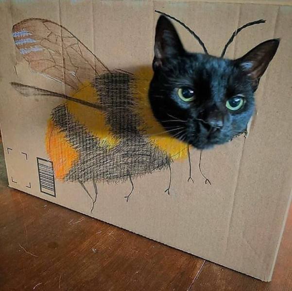 Acid Picdump. Part 1 (94 pics) Acid Picdump. Part 1 (94 pics)