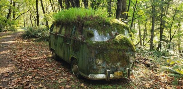 Acid Picdump. Part 1 (94 pics)