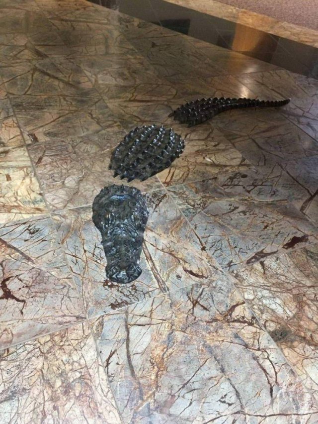 Acid Picdump. Part 1 (94 pics) Acid Picdump. Part 1 (94 pics)
