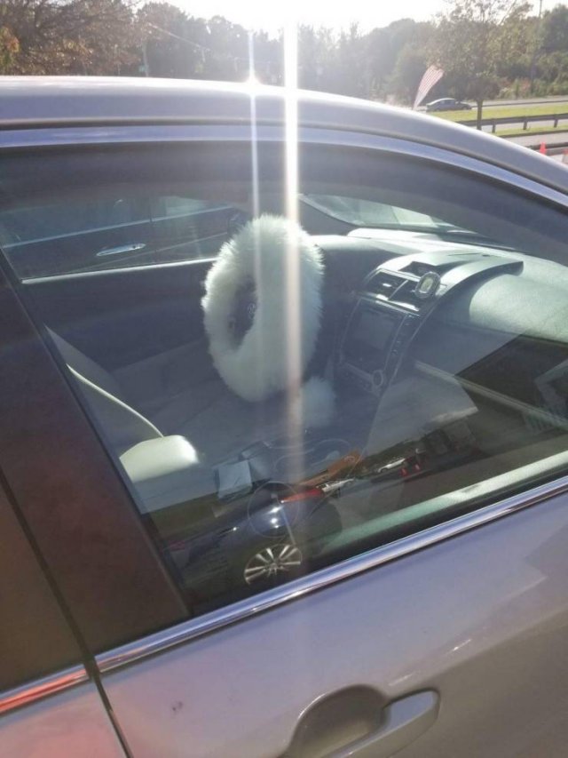 Acid Picdump. Part 1 (94 pics)