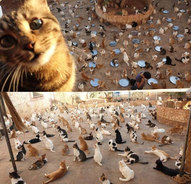 Acid Picdump. Part 1 (94 pics) Acid Picdump. Part 1 (94 pics)