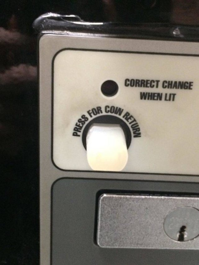 Spacing Matters (30 pics)