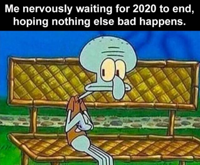 Random Funny Memes (91 pics)