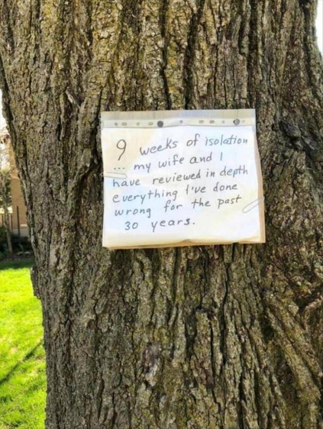 Random Funny Memes (91 pics)