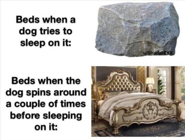Random Funny Memes (91 pics)