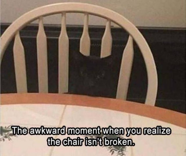 Random Funny Memes (91 pics)
