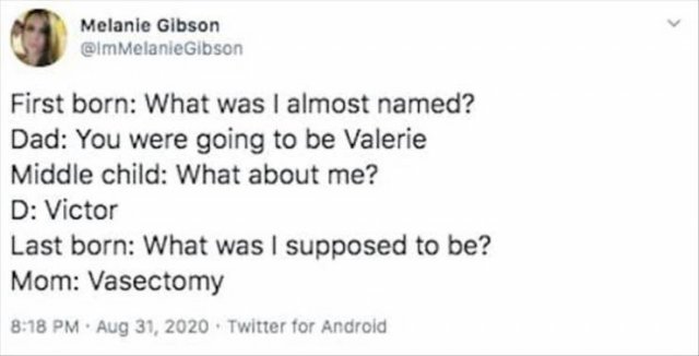 Parenting Tweets (28 pics)