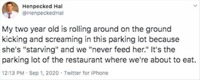 Parenting Tweets (28 pics)