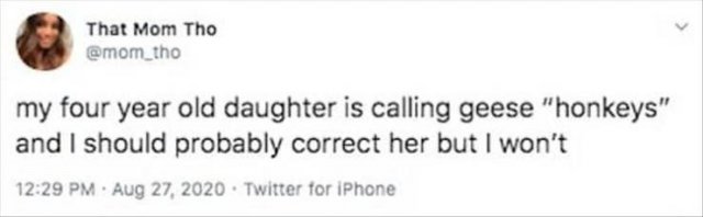 Parenting Tweets (28 pics)