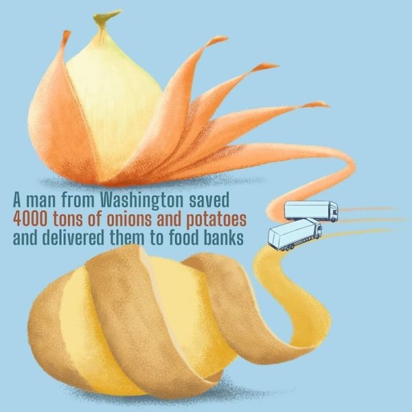 Good News From 2020 (24 pics)